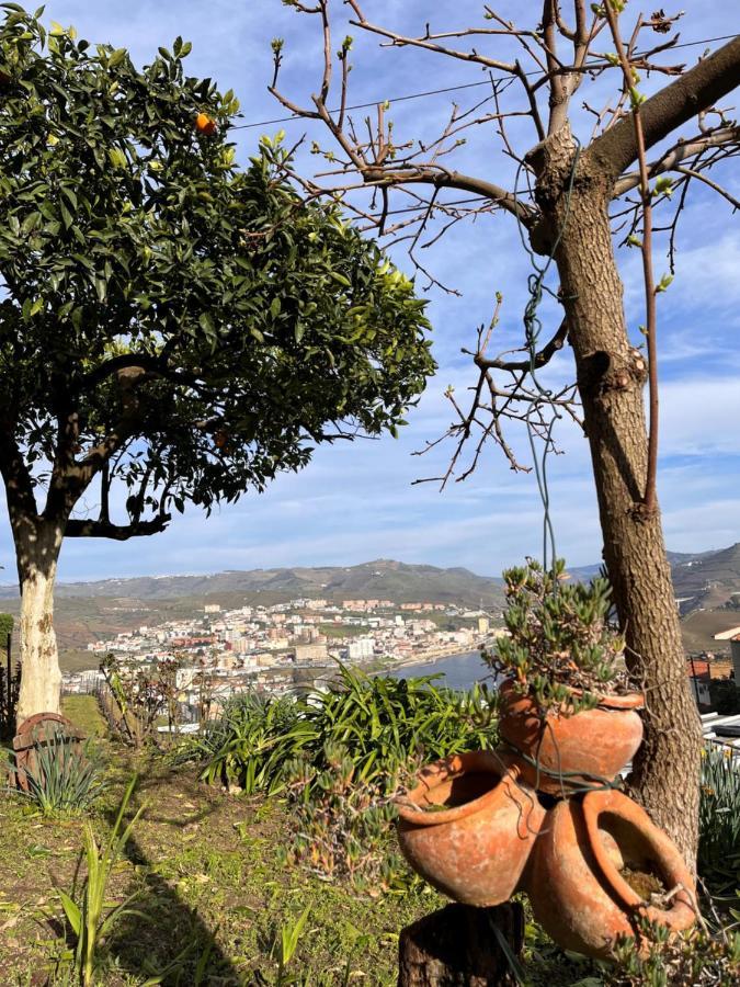 Casa De Sergude Peso da Régua Eksteriør billede