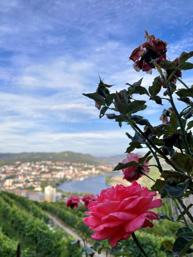 Casa De Sergude Peso da Régua Eksteriør billede